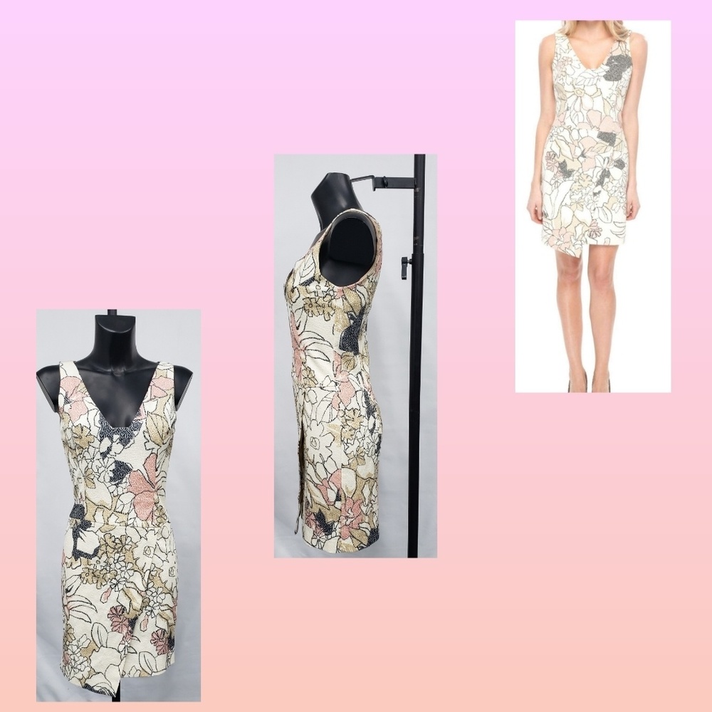 NWT/Amy Matto Dress